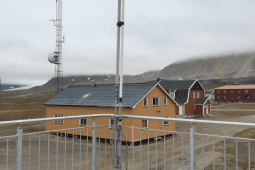 VLF
